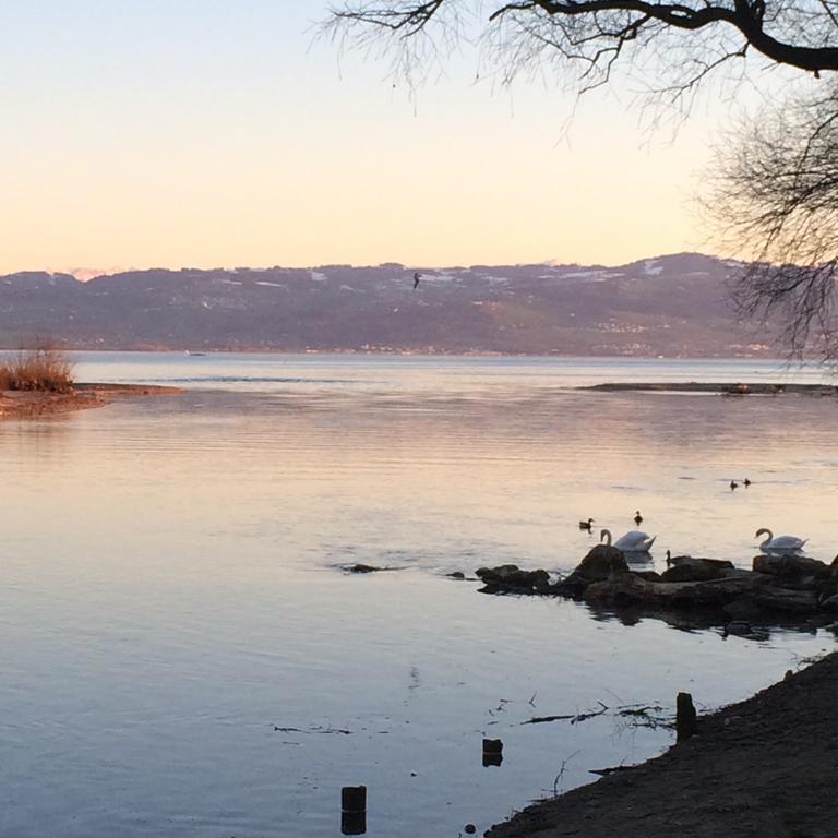 Ferienwohnung Am Bodensee 크레스브론암보덴지 외부 사진